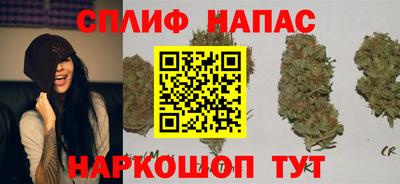 мдпв Ярцево