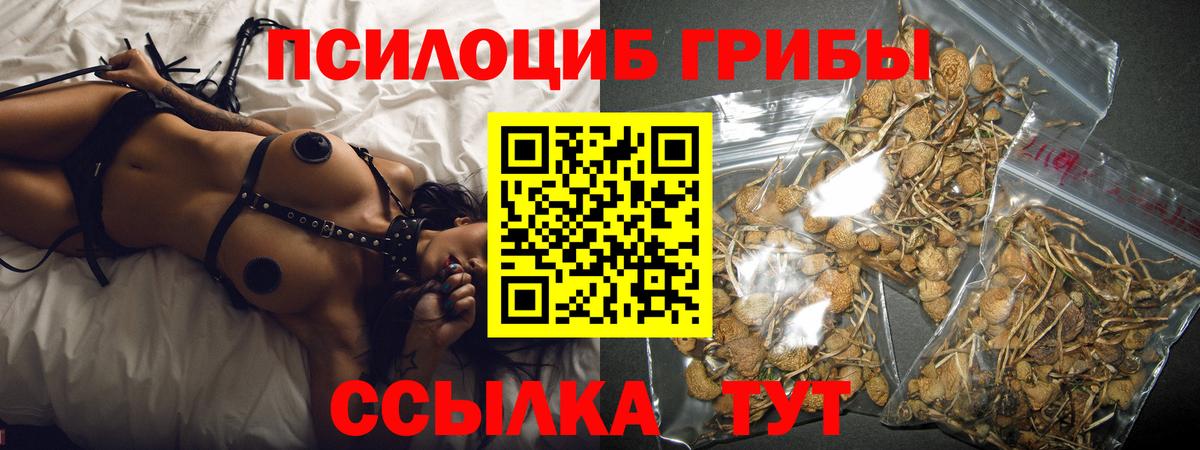 Псилоцибиновые грибы мухоморы  Вход с VPN  Баксан 